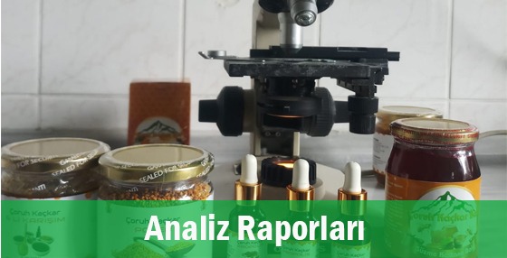 analiz